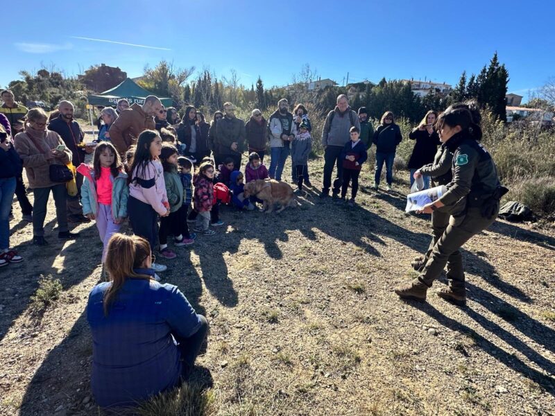 La Bustia cloenda projecte bassa de Can Cardus ADF Esparreguera