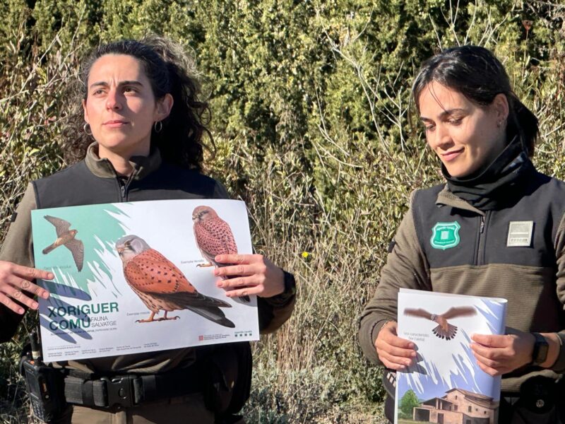 La Bustia cloenda projecte bassa de Can Cardus ADF Esparreguera