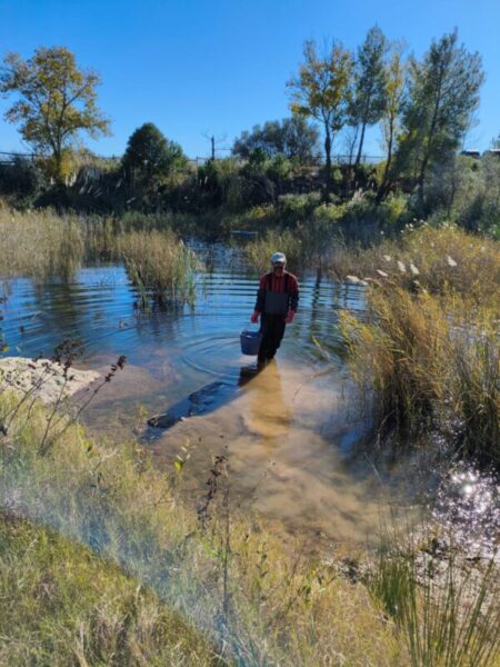 La Bustia cloenda projecte bassa de Can Cardus ADF Esparreguera