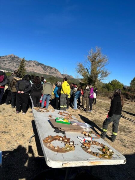 La Bustia cloenda projecte bassa de Can Cardus ADF Esparreguera