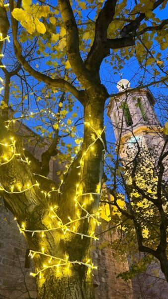 La Bustia encesa llums Nadal Esparreguera 4