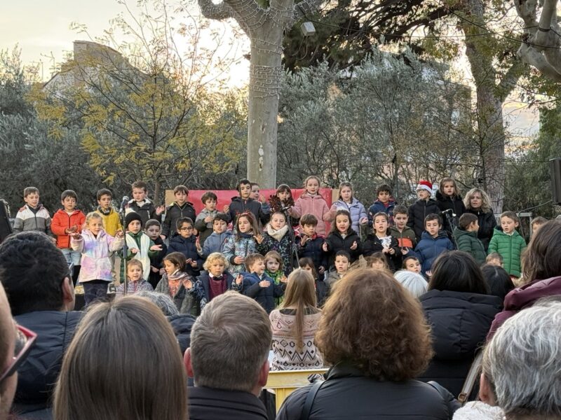 La Bustia pessebre Olesa 1