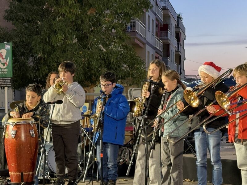 La Bustia pessebre Olesa 5