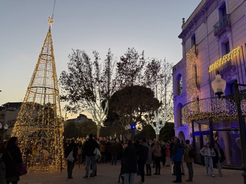 La Bustia pessebre Olesa 8