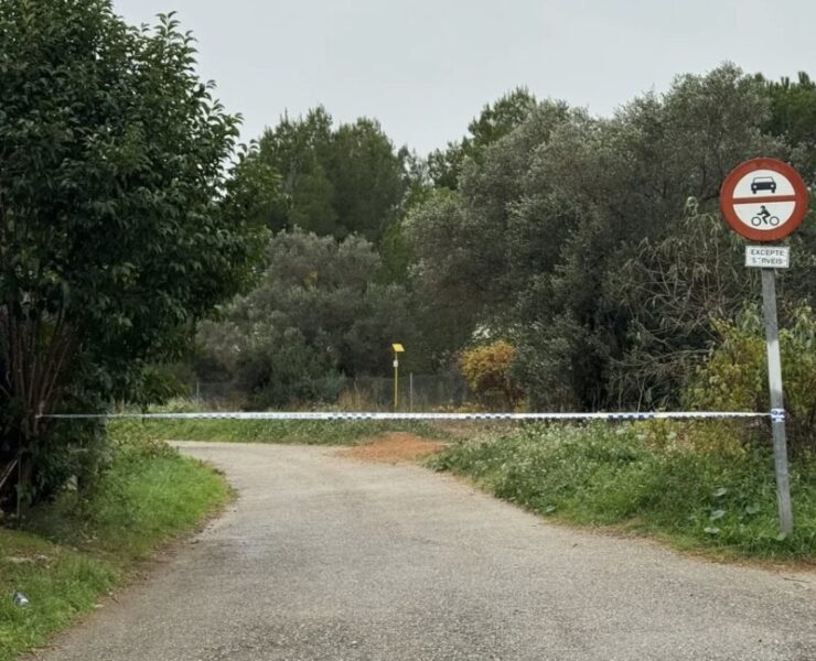 La Bustia prohibicions per pesta porcina Martorell