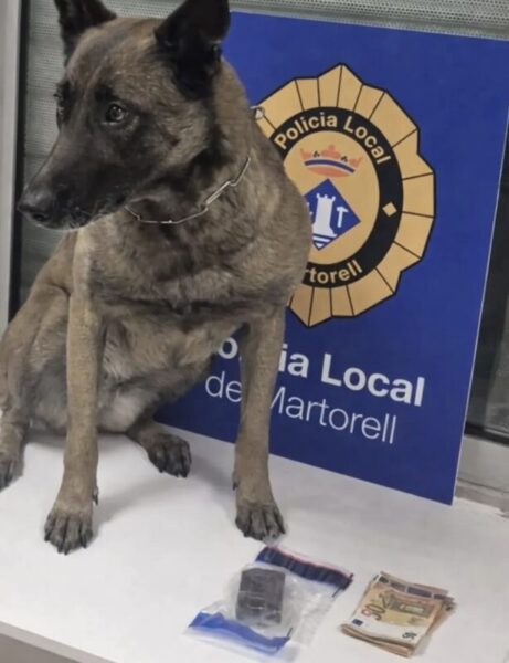 La Bustia Unitat Canina Martorell3