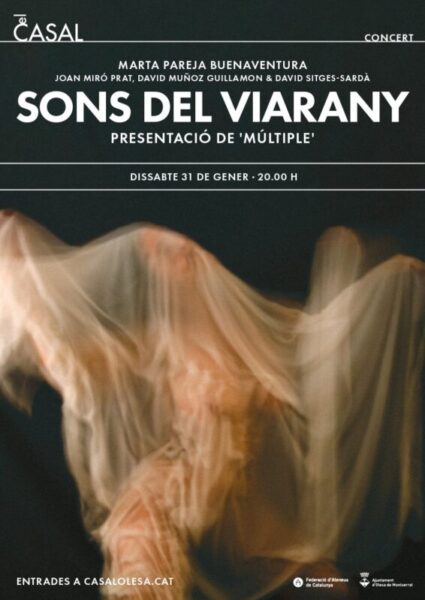 La Bustia cartell sons del viarany