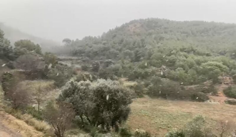 La Bustia neu Collbato 5 gener 2026