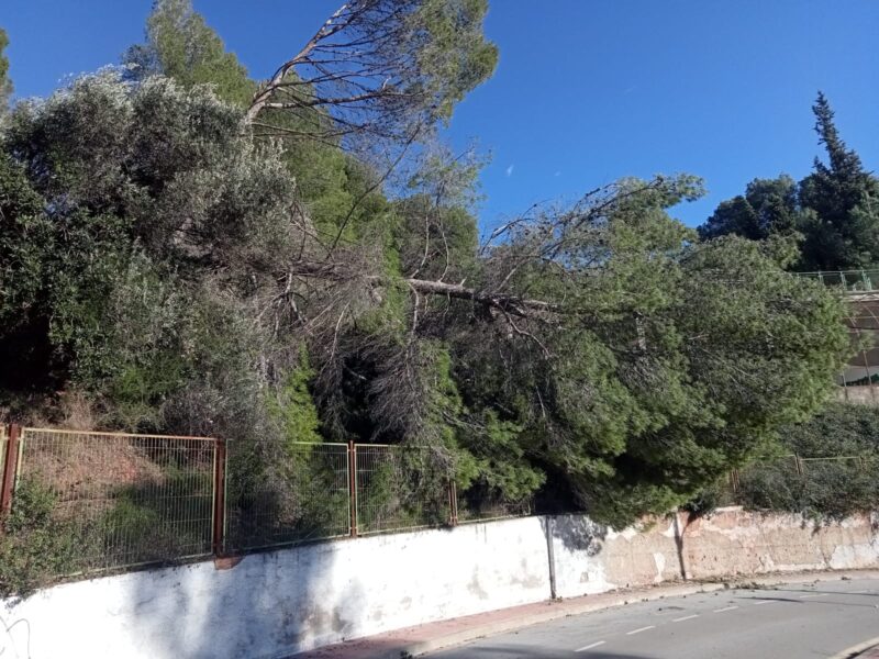 La Bustia ventada Castellvi 1