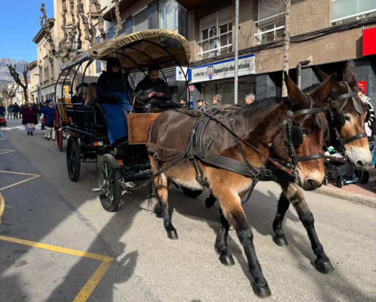 La Bustia 3 tombs 2026 Olesa