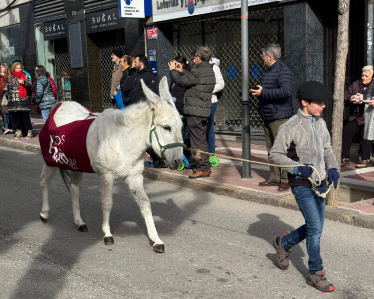La Bustia 3 tombs 2026 Olesa