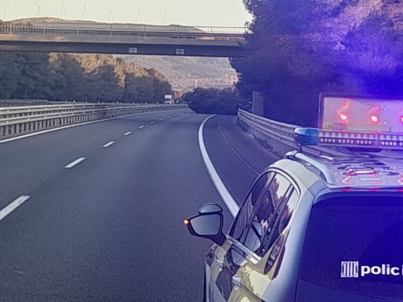 La Bustia AP7 caiguda arbre Martorell