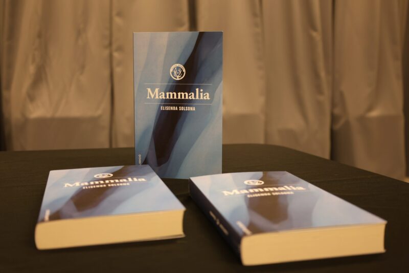 La Bustia Elisenda Solsona Mammalia Martorell 1