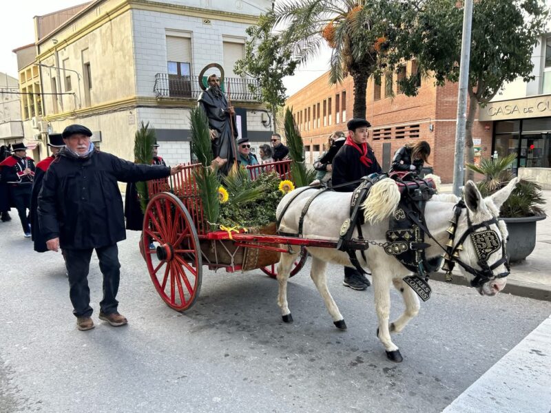 La Bustia Tonis 2026 Olesa