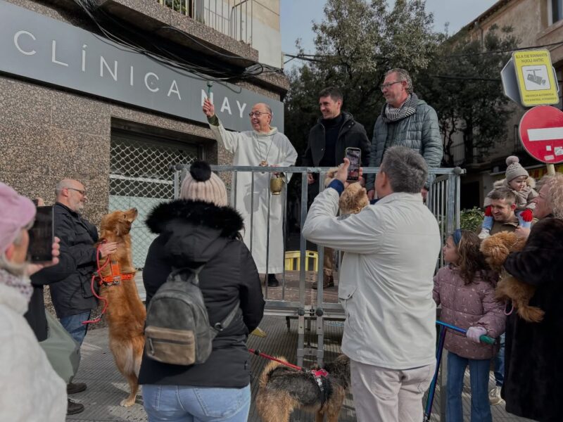 La Bustia Tonis 2026 Olesa