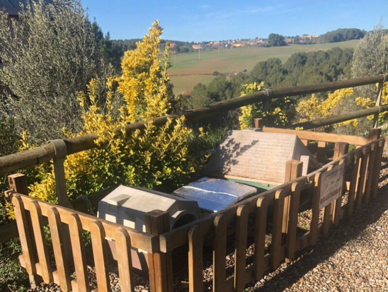 La Bustia colonia de gats Sant Esteve