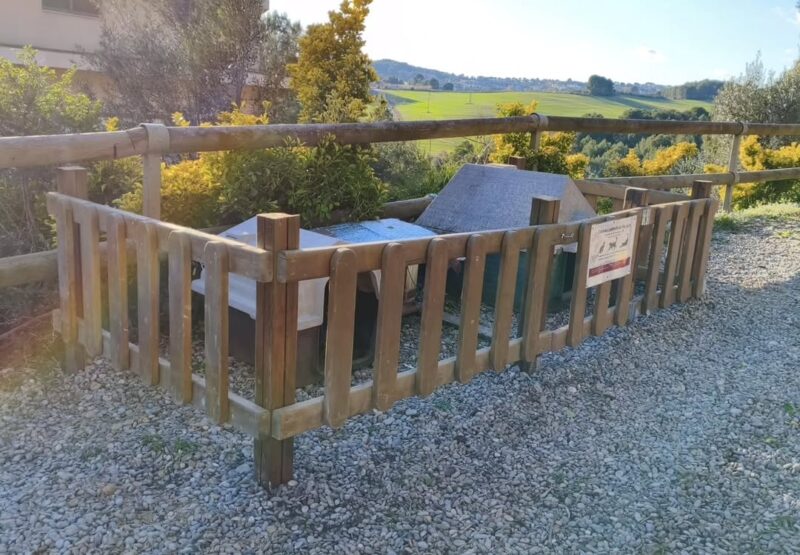 La Bustia colonies gats Sant Esteve 1