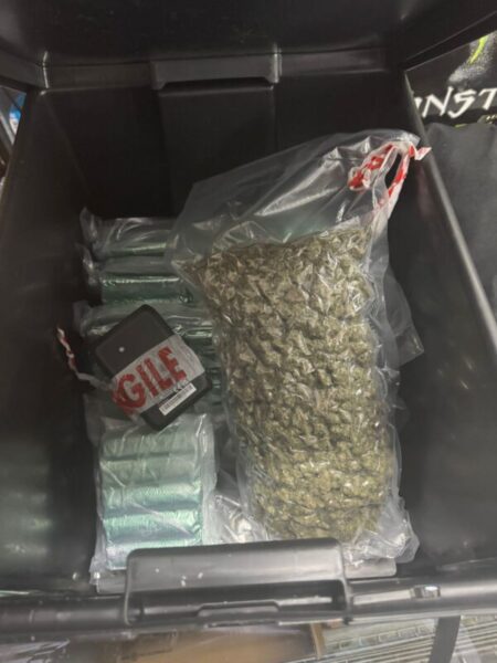 La Bustia droga comissada Masquefa i Mataro 2