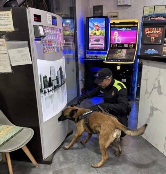La Bustia entrada inspeccio administrativa Martorell