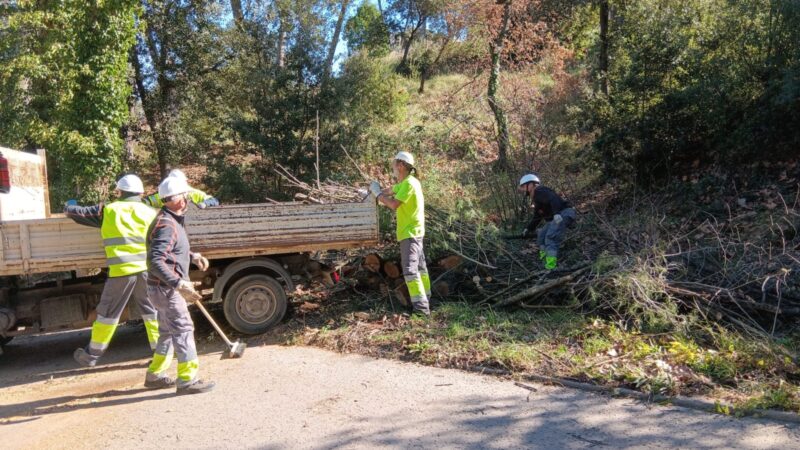 La Bustia fort vent 12 febrer 2026 Abrera
