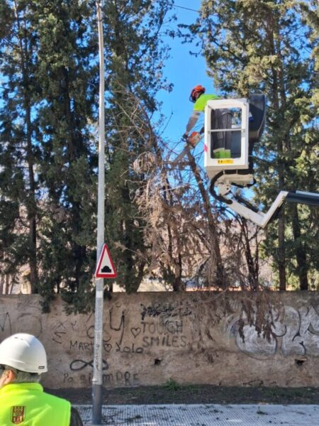 La Bustia fort vent 12 febrer 2026 Abrera