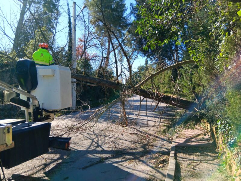 La Bustia fort vent 12 febrer 2026 Abrera