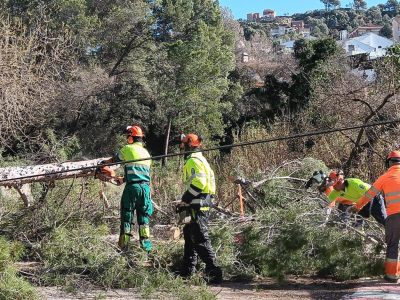 La Bustia fort vent 12 febrer 2026 Abrera