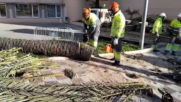 La Bustia fort vent 12 febrer 2026 Abrera