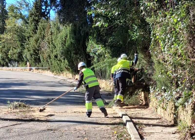 La Bustia fort vent 12 febrer 2026 Abrera