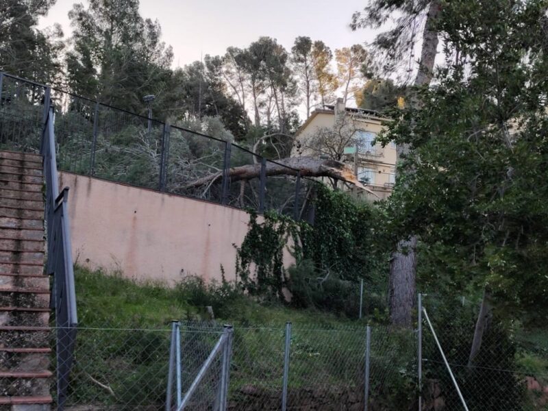 La Bustia fort vent 12 febrer 2026 Castellvi arbre trencat piscina