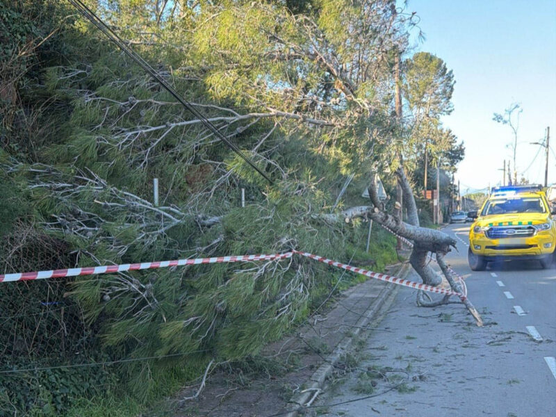 La Bustia fort vent 12 febrer 2026 Castellvi branca Taio
