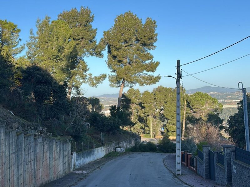 La Bustia fort vent 12 febrer 2026 Castellvi caiguda branca avinguda Taio