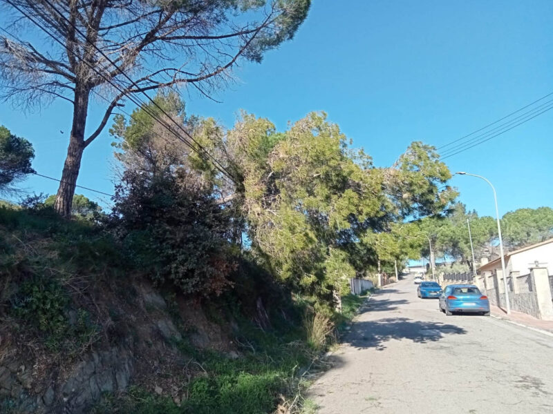 La Bustia fort vent 12 febrer 2026 Castellvi carrer tarragona