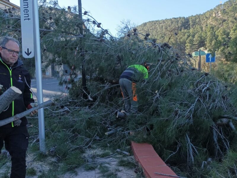 La Bustia fort vent 12 febrer 2026 Castellvi cntre social