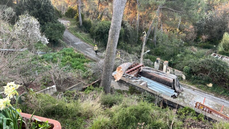 La Bustia fort vent 12 febrer 2026 Esparreguera