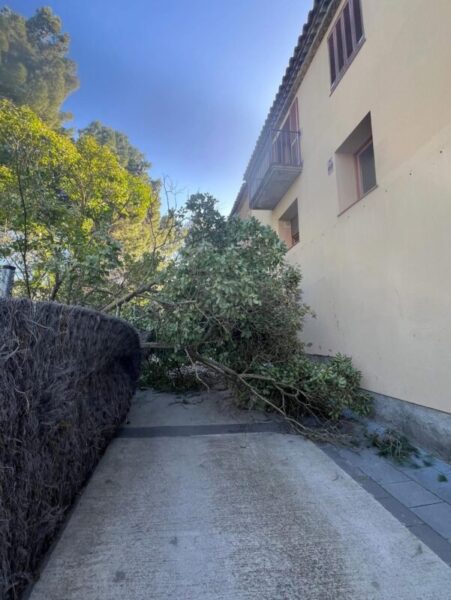 La Bustia fort vent 12 febrer 2026 Gelida 1