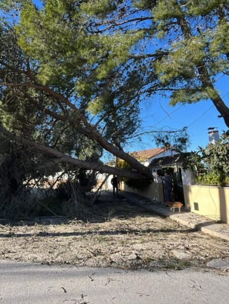 La Bustia fort vent 12 febrer 2026 Gelida 2