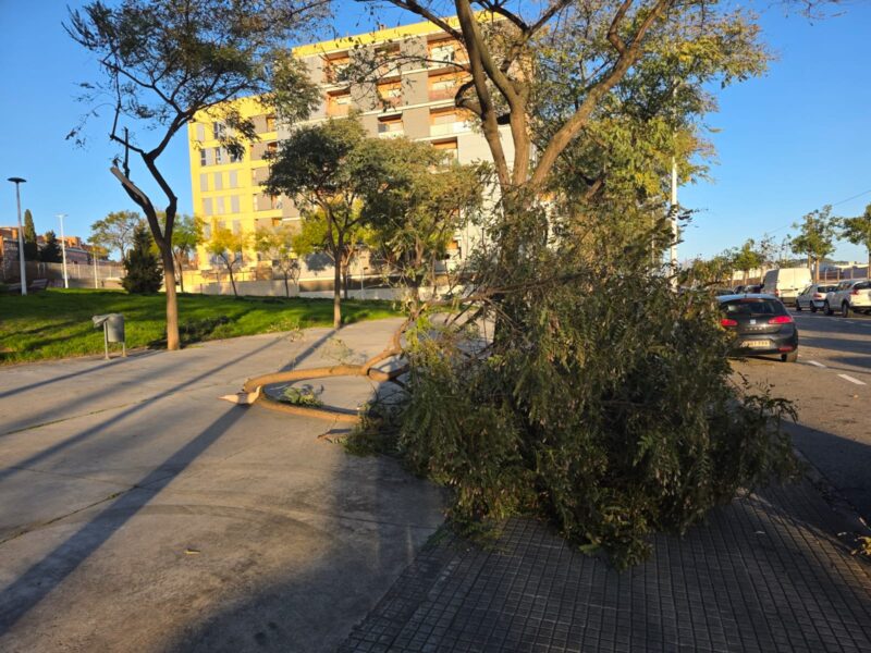 La Bustia fort vent 12 febrer 2026 Sant Andreu