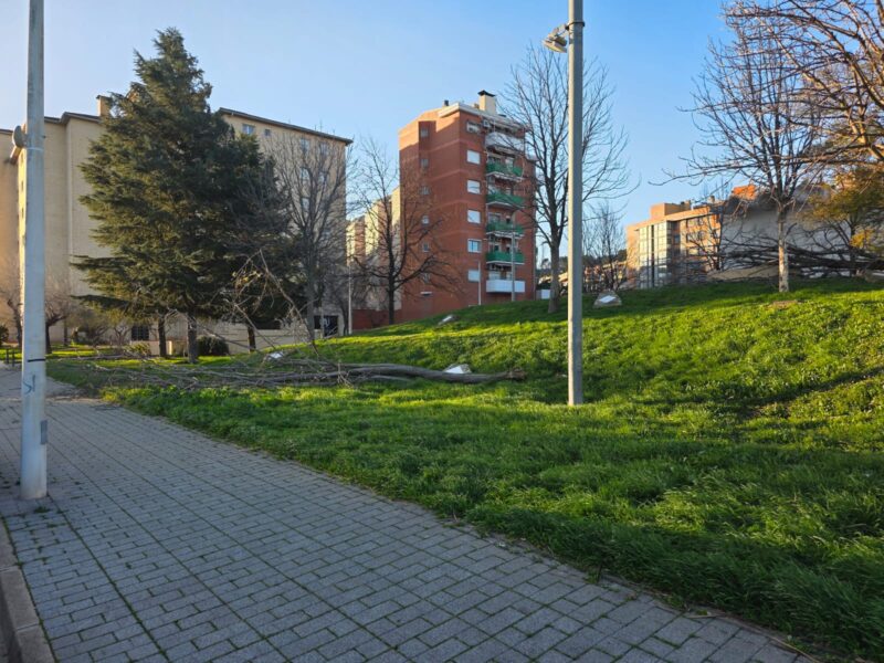 La Bustia fort vent 12 febrer 2026 Sant Andreu