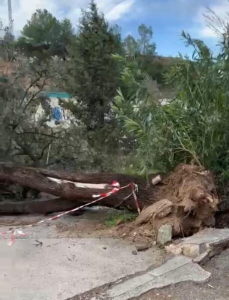 La Bustia fort vent Esparreguera