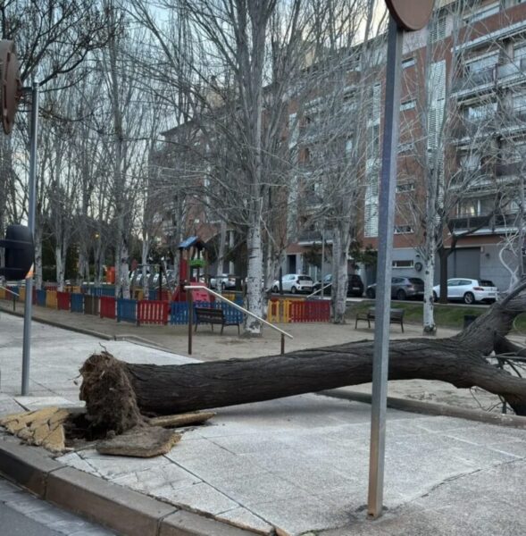 La Bustia fort vent Martorell 5