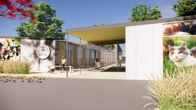 La Bustia refugi gats Martorell 1