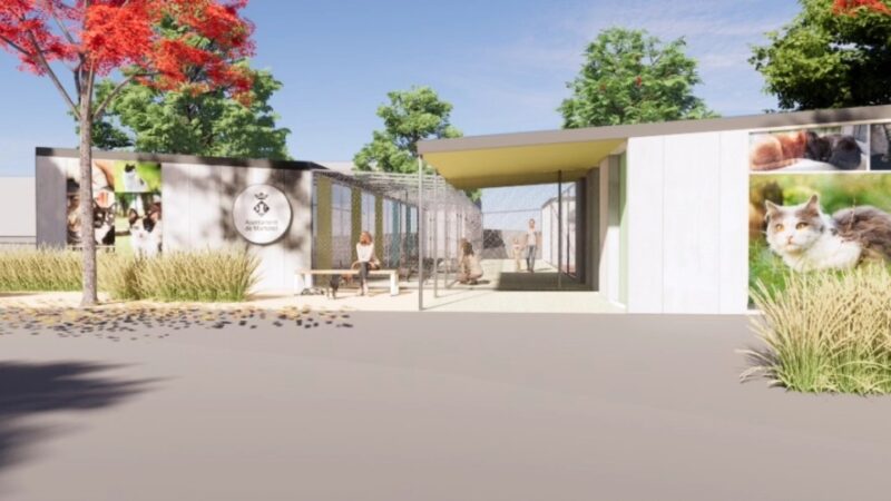 La Bustia refugi gats Martorell 2