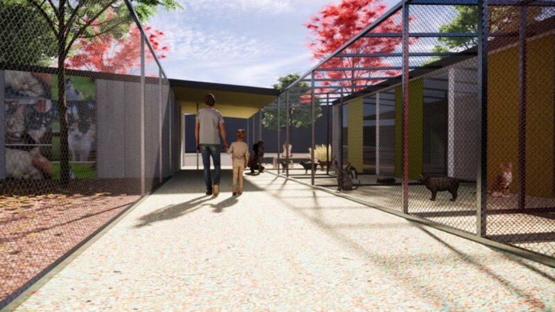 La Bustia refugi gats Martorell 4