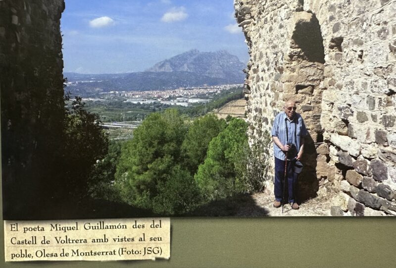 La Bustia Miquel Guillamon Casanovas Olesa