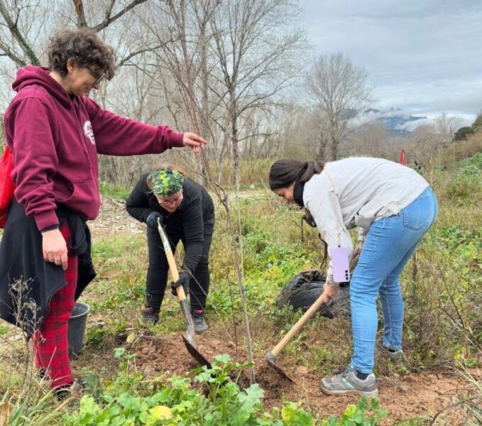 La Bustia Plantada Popular Areny Moli Olesa
