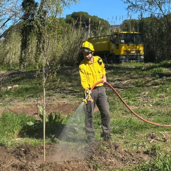 La Bustia Plantada Popular Olesa 1