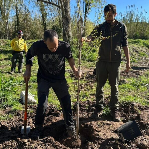 La Bustia Plantada Popular Olesa 2