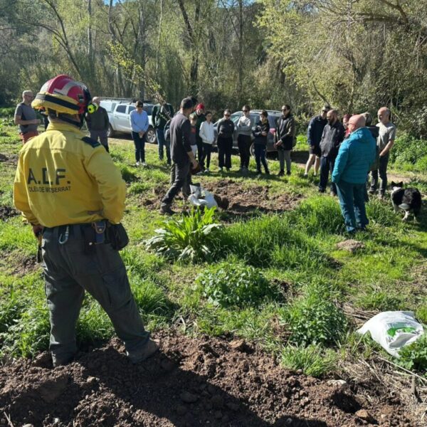 La Bustia Plantada Popular Olesa 3