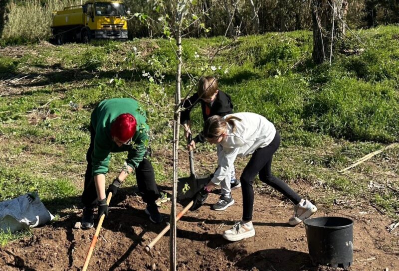 La Bustia Plantada Popular Olesa 4